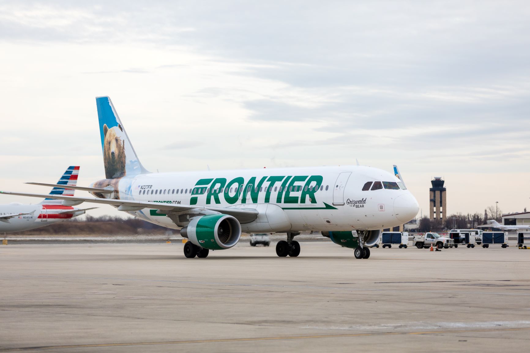 Frontier Bear