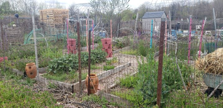 Eastwick Community Garden