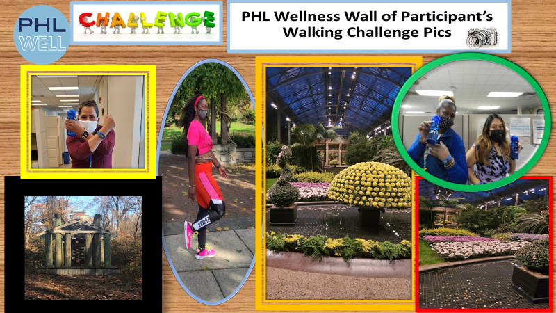 Wellness