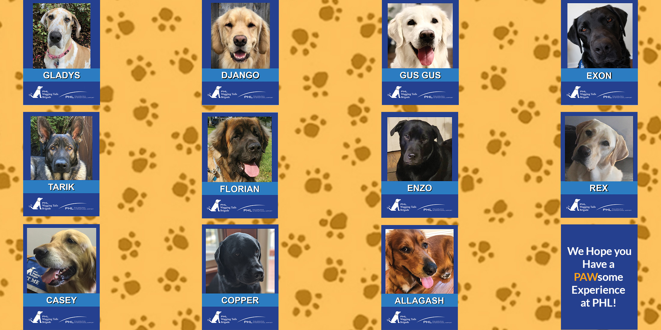 Wagging Tails Brigade