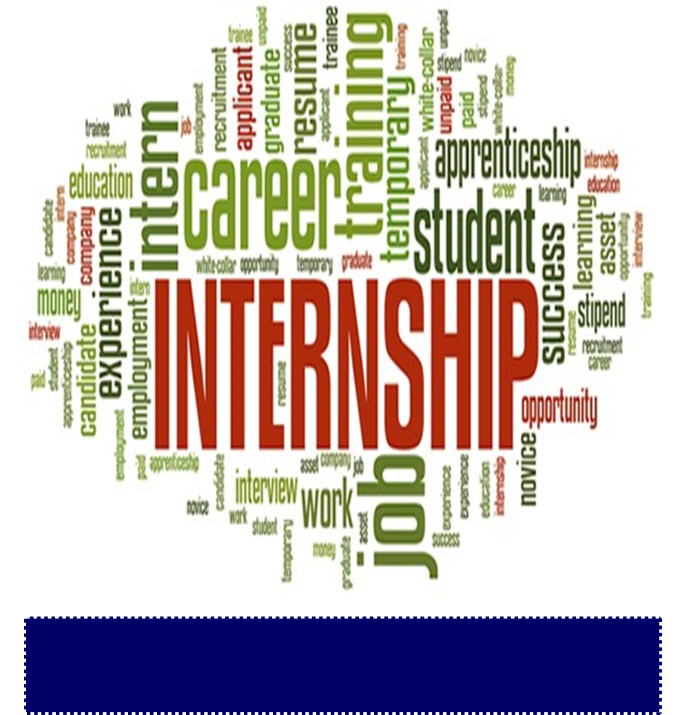 Summer Internship Program Returns