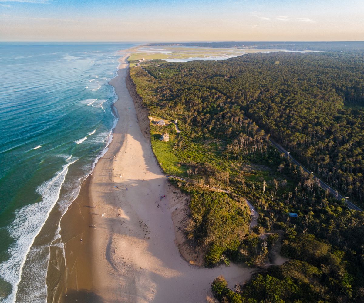 Cape Cod
