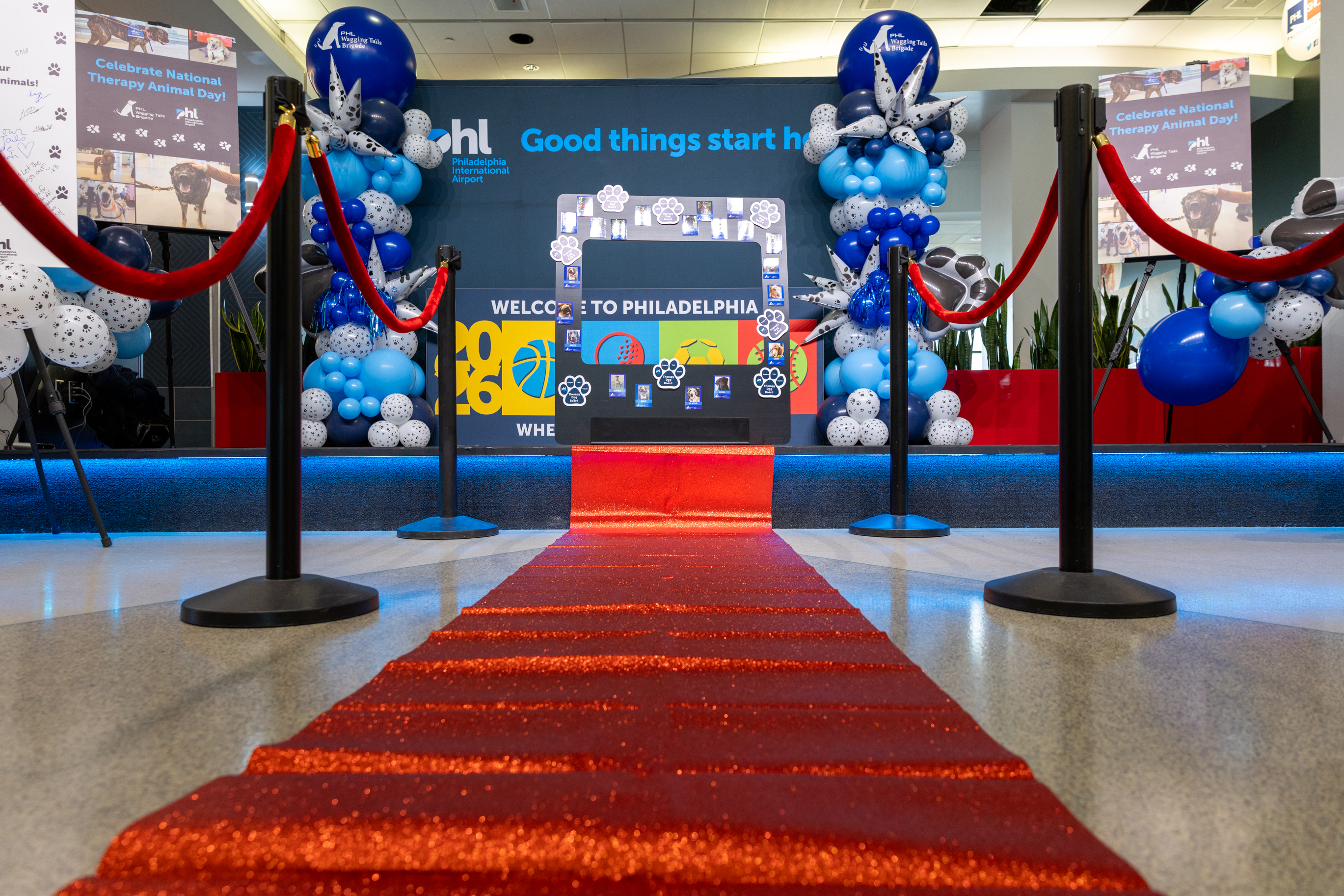 Therapy Animal Day Red Carpet