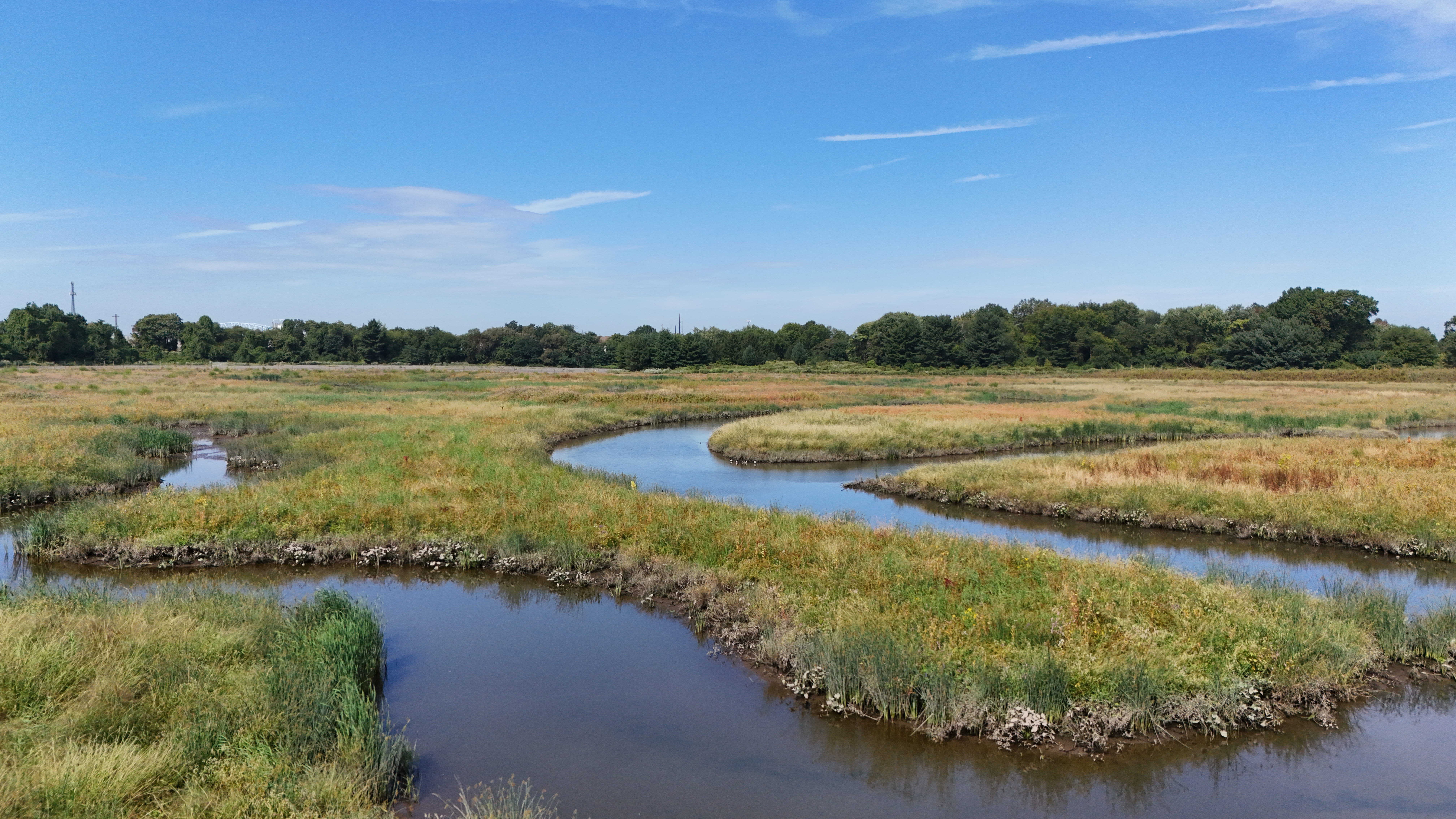 Tidal Wetland Creation
