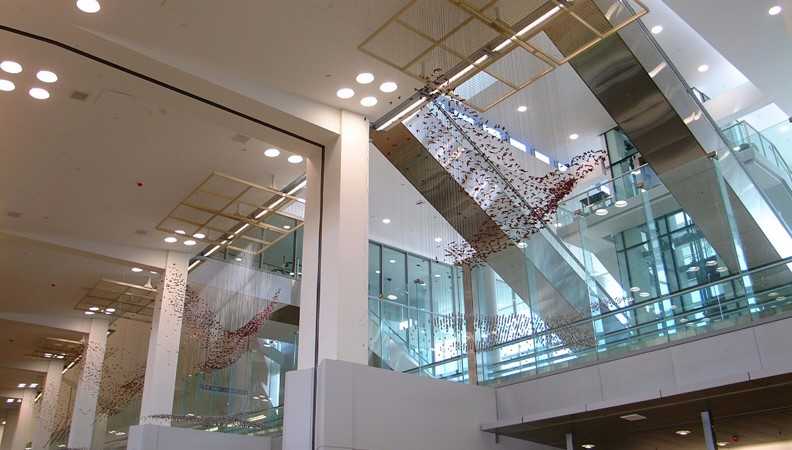 Photo of birds suspended in air in A- East ticketing creating a large scale exhibition in air