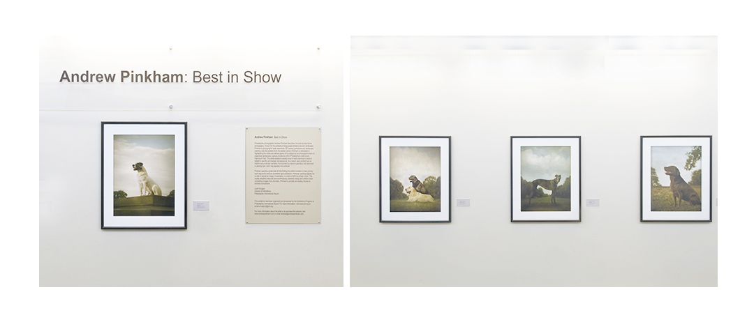 Philadelphia photographer Andrew Pinkham's photo exhibit