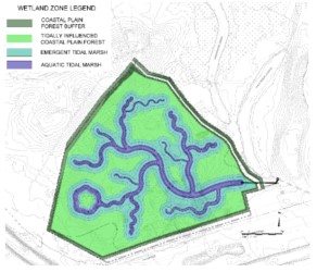 Figure 3 Tidal Wetland Mosaic