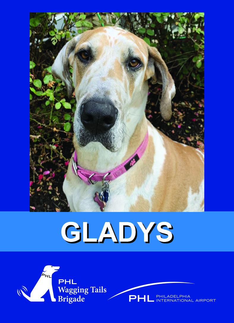 Gladys