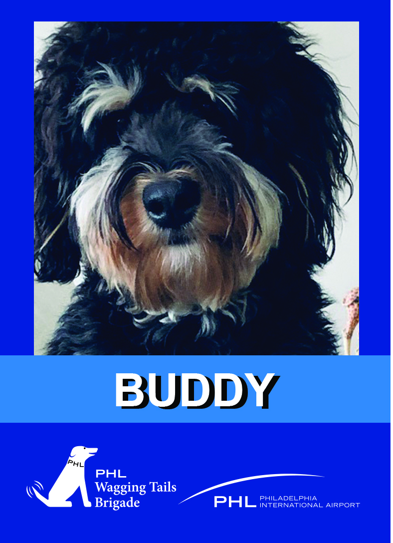 Buddy