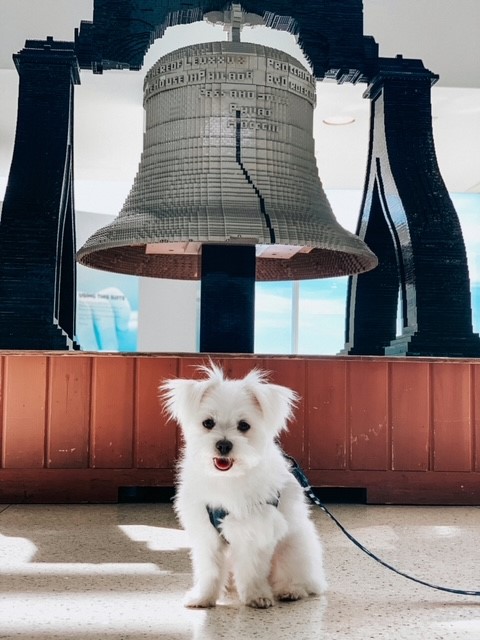 Sparky Liberty Bell