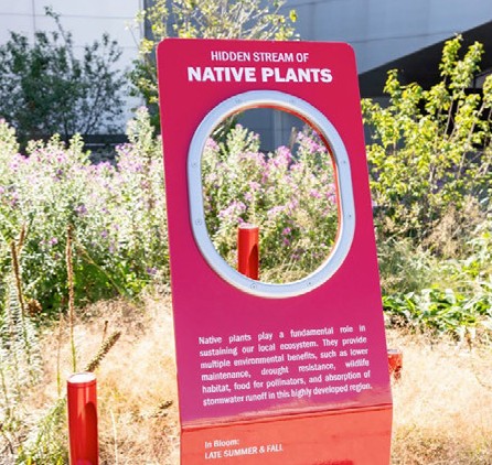 PHL new landscaping on Departures Road featuring native plants